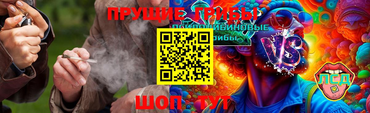 Галлюциногенные грибы мицелий  Галлюциногенные грибы Cubensis  Вход с VPN  Алексин 